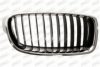 PRASCO BM0282003 Radiator Grille